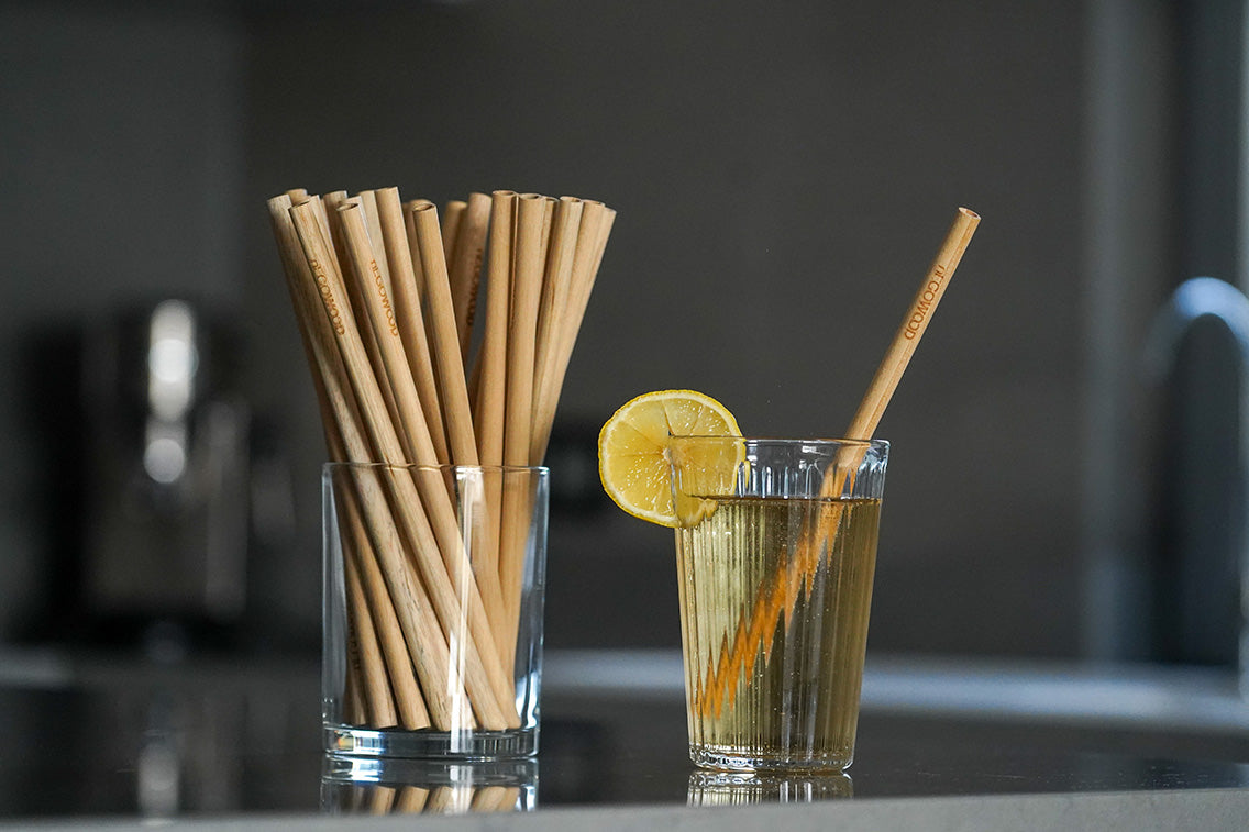 nEGOWOOD Strohhalm / Pipet