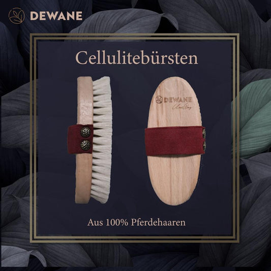 Cellulitebürste