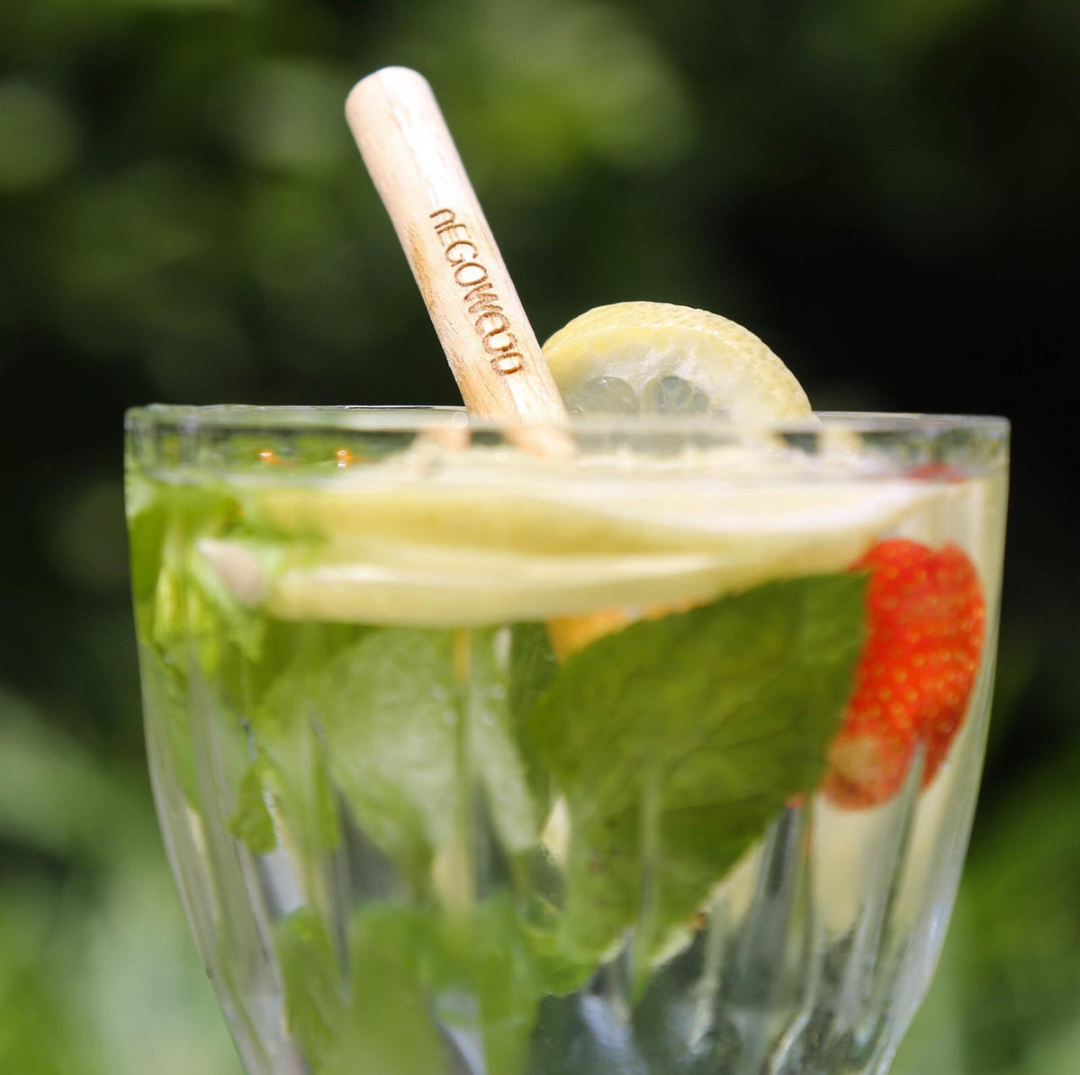 nEGOWOOD Cocktail Stohhalm/Pipet