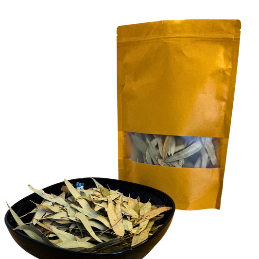 Okaliptüs / Okaliptüs